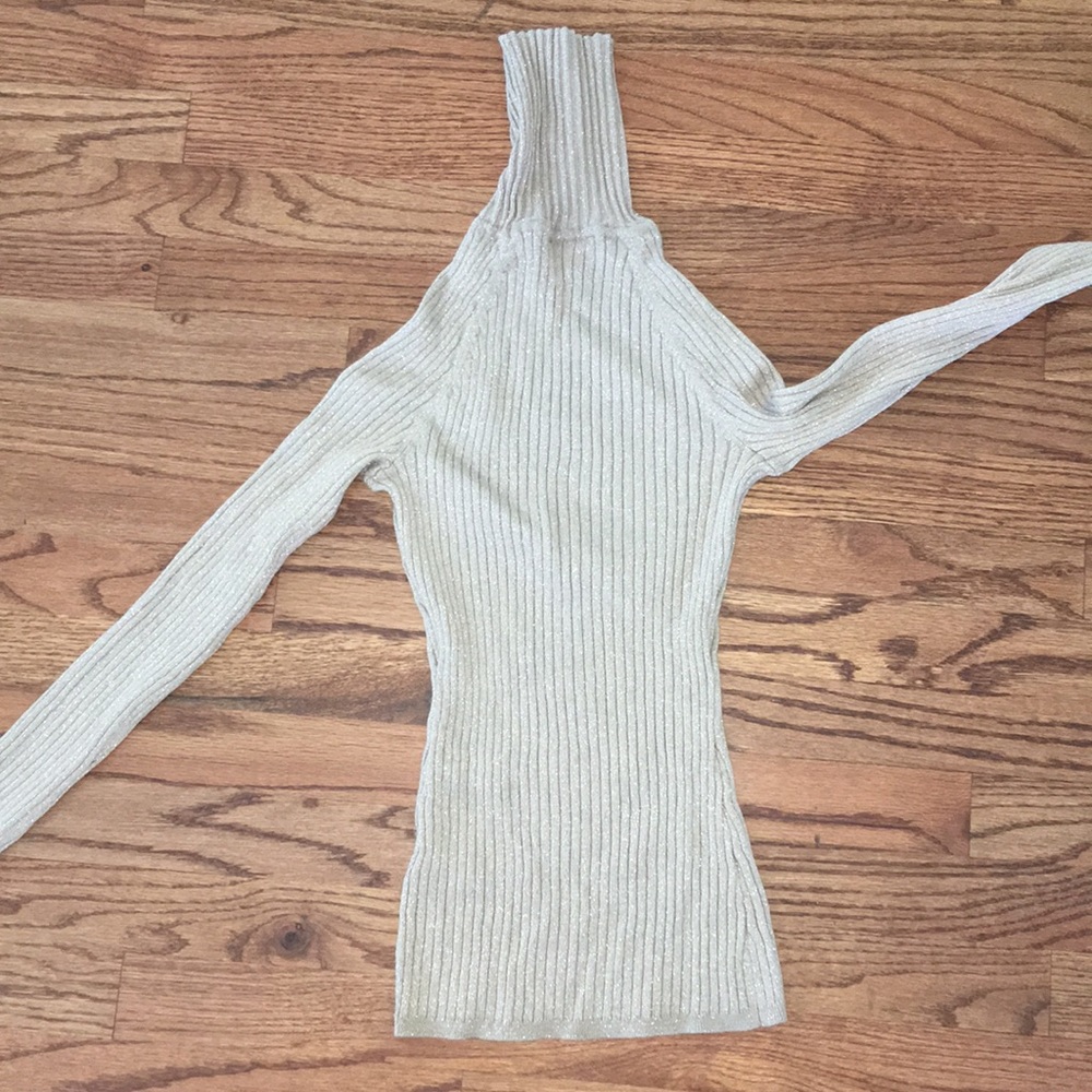 Shimmer Turtle Neck